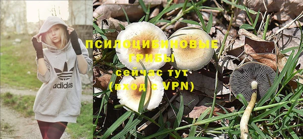кокаин колумбия Абаза