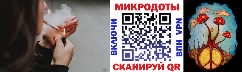 закладка  Чегем  Галлюциногенные грибы GOLDEN TEACHER 
